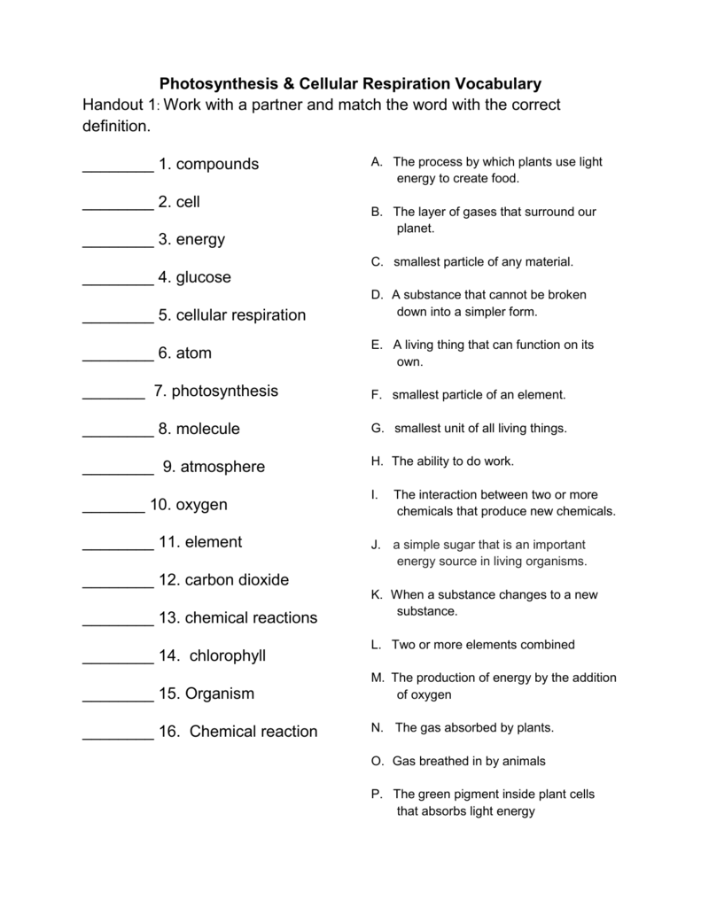 Photosynthesis Cellular Respiration Vocabulary