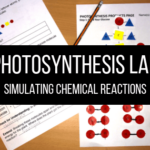 Photosynthesis Simulation Lab Laney Lee