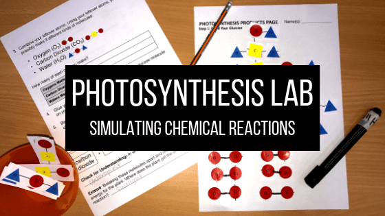 Photosynthesis Simulation Lab Laney Lee