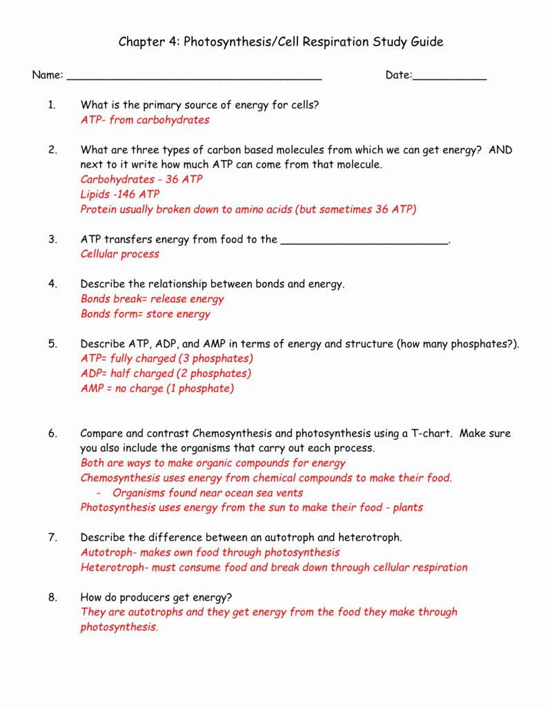 Photosynthesis Worksheet Answer Key Inspirational 81 Energy And Life