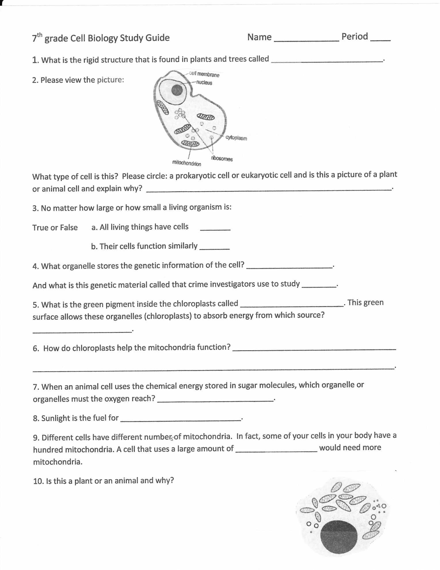 Physical Science Worksheet Conservation Of Energy 2 Answer Key