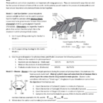 Pogil Answer Key Cellular Respiration POGIL Oxidative Phosphorylation