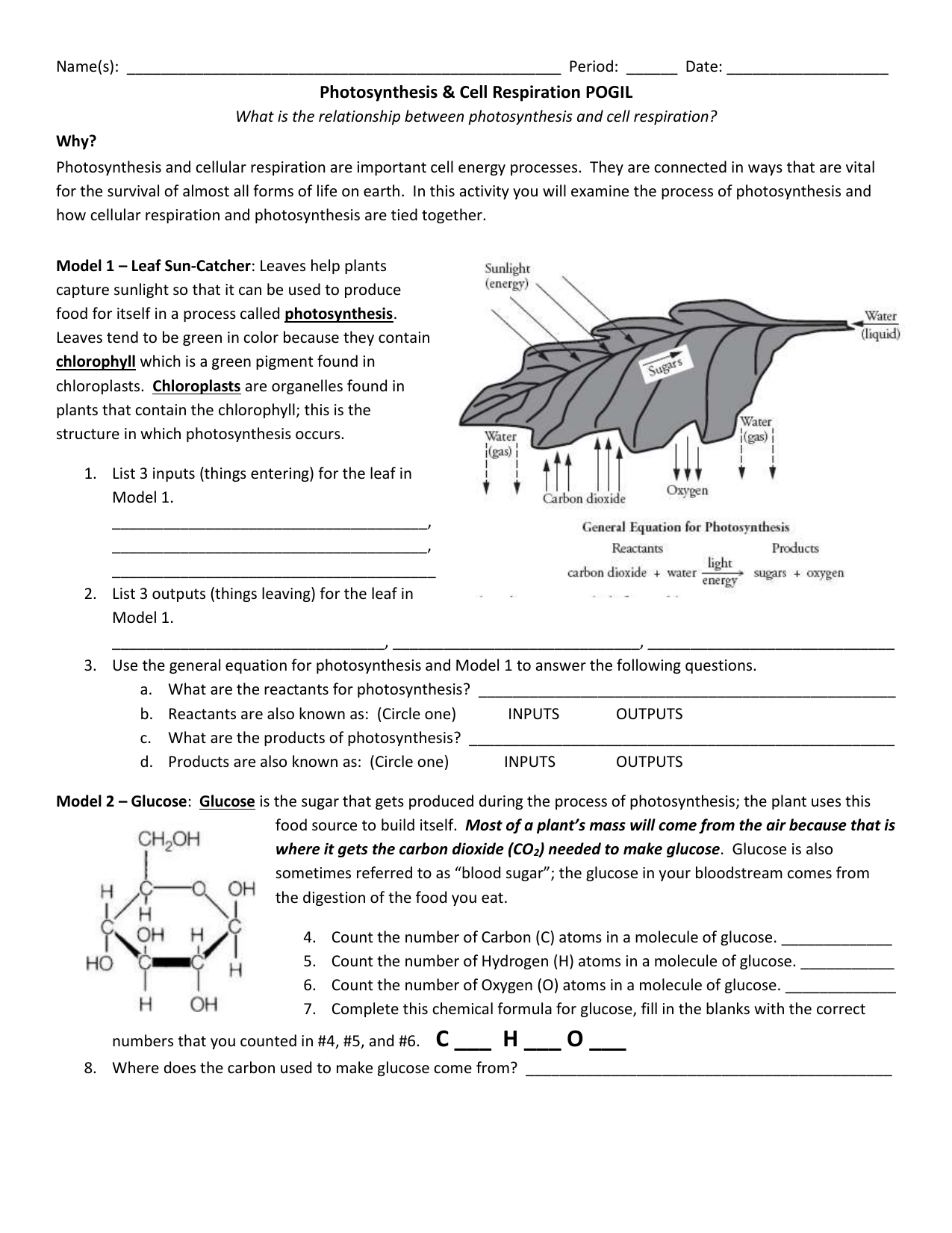 Pogil Answer Key Cellular Respiration POGIL Oxidative Phosphorylation 