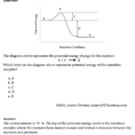 Potential Energy Diagram Worksheet Answers Worksheet