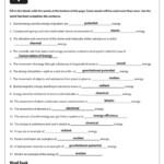 Potential Or Kinetic Energy Worksheet