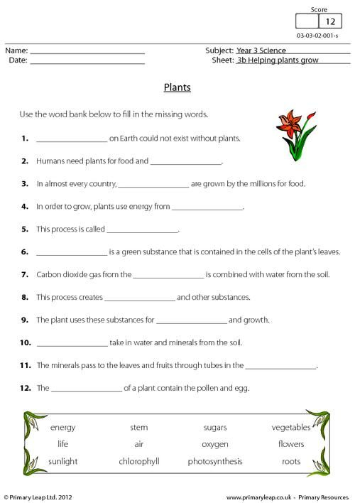 PrimaryLeap co uk Plants Worksheet Plants Worksheets Science