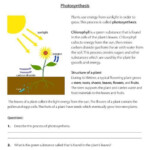 Section 8 1 Energy And Life Worksheet Answer Key Worksheet