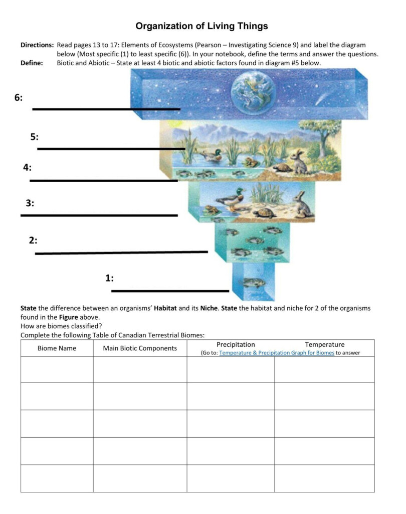 Temperature And Heat Worksheet