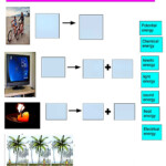 Transformations Of Energy Worksheet