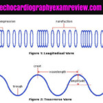 Transverse Waves Worksheet Answers