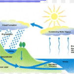 Water Cycle Fifth Grade Condensation Process PNG 893x371px Water