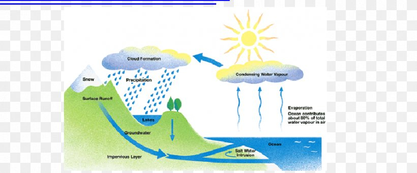 Water Cycle Fifth Grade Condensation Process PNG 893x371px Water 
