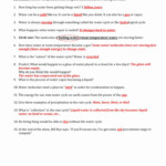 Water Cycle Worksheet Answer Key Elegant Bill Nye And The Water Cycle