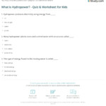 What Is Hydropower Quiz Worksheet For Kids Study