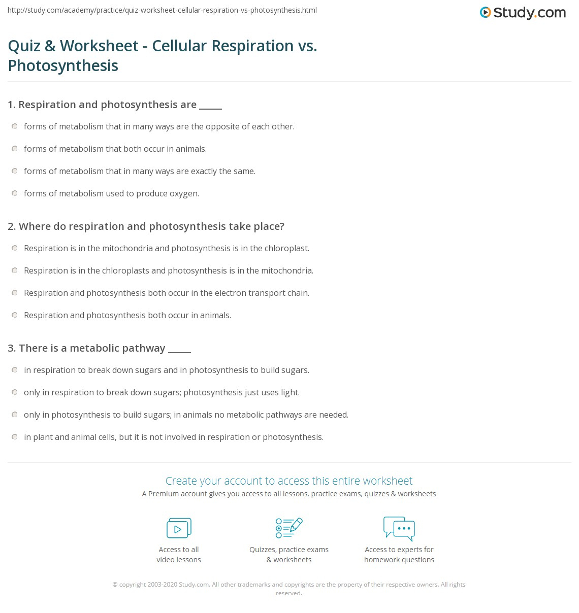 Worksheet Photosynthesis And Cell Energy Biology Answers 