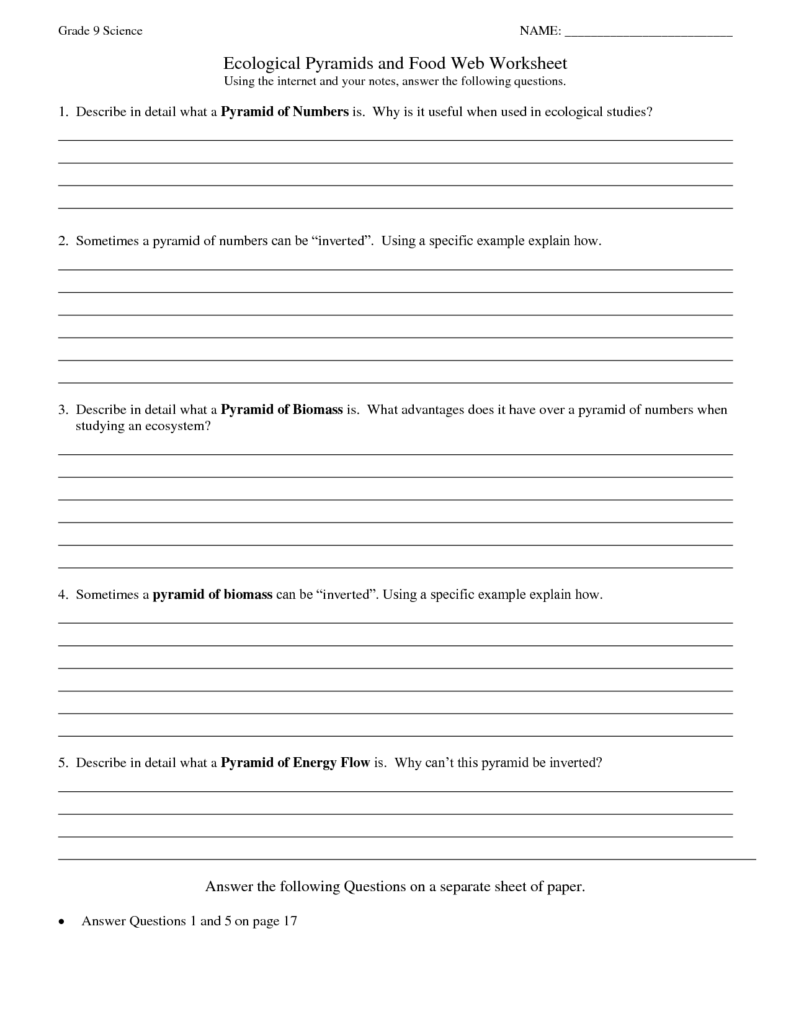 11 Biomass Energy Pyramid Worksheet Worksheeto