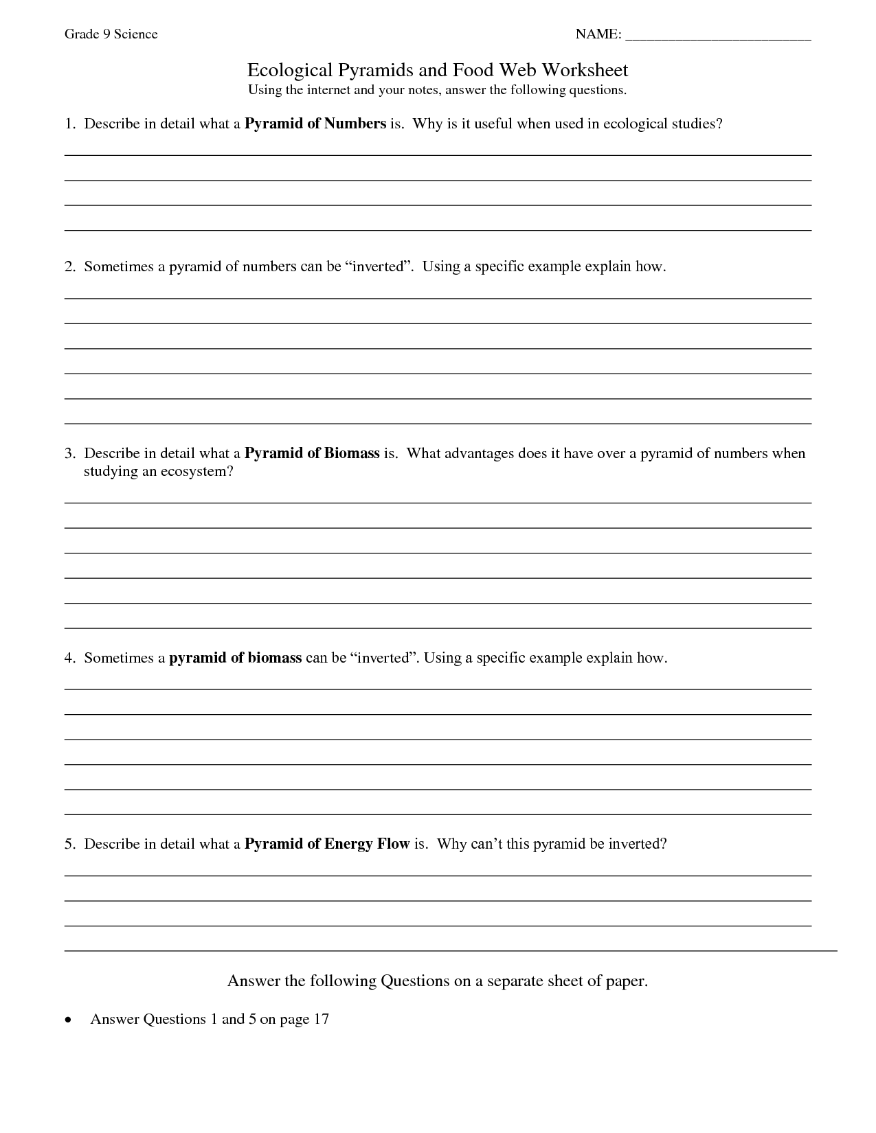 11 Biomass Energy Pyramid Worksheet Worksheeto