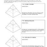 14 Energy Pyramid Worksheet Middle School Worksheeto