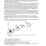 15 Phase Change Worksheet Worksheeto