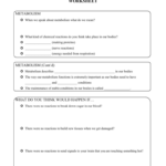 2 2 2 Cell Metabolism Sources Of Energy Worksheet