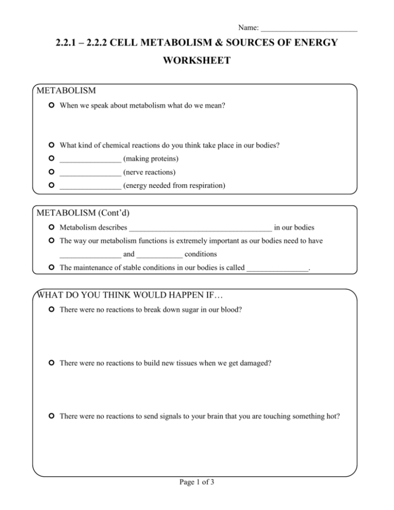 2 2 2 Cell Metabolism Sources Of Energy Worksheet