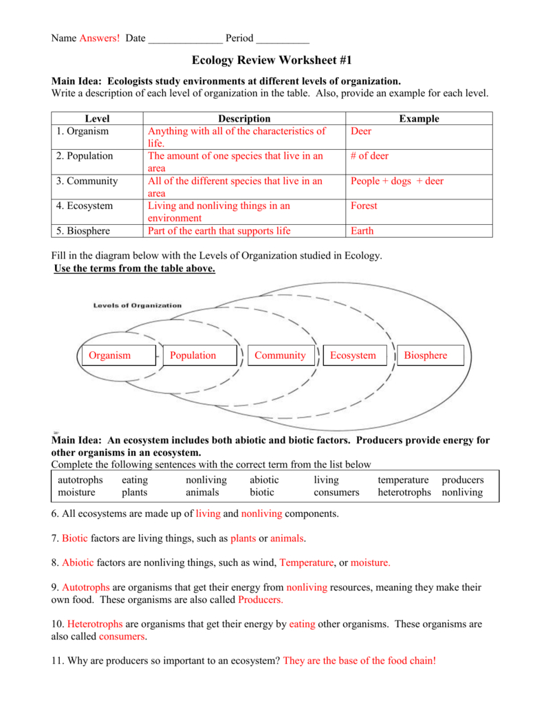 3 2 Energy Producers And Consumers Worksheet Answer Key Db excel