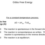30 Gibbs Free Energy Worksheet Education Template