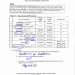 50 Bill Nye Chemical Reactions Worksheet Chessmuseum Template Library
