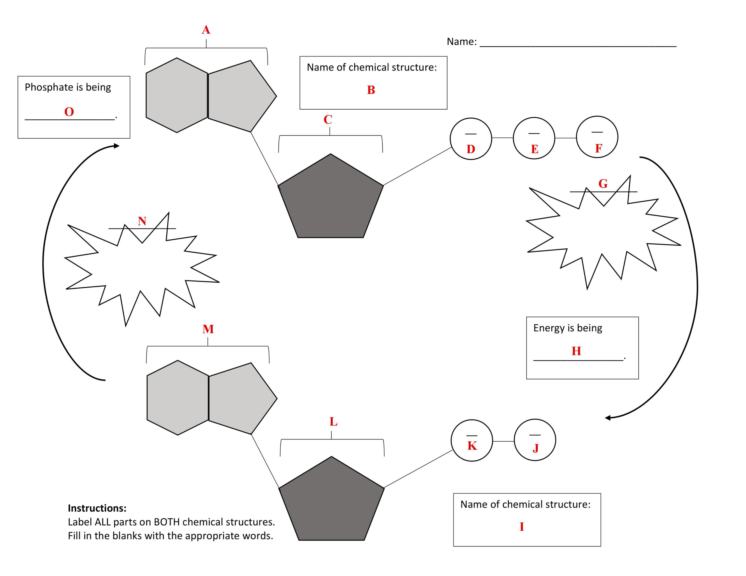  Atp Adp Worksheet Free Download Goodimg co