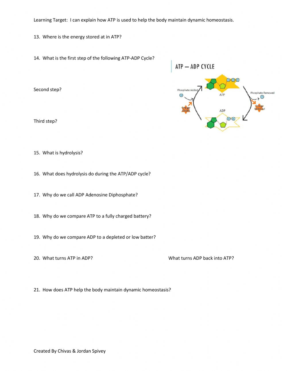 Atp The Free Energy Carrier Worksheet Answers Worksheet Answers