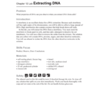 Banana Dna Extraction Lab Worksheet Answers Free Printable Math Test