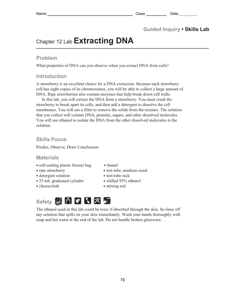 Banana Dna Extraction Lab Worksheet Answers Free Printable Math Test