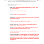 Biology Chapter 7 Review Worksheet Free Download Goodimg co