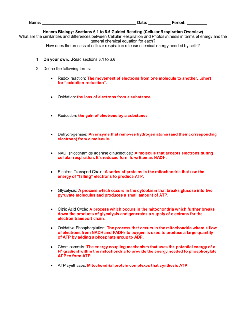 Biology Chapter 7 Review Worksheet Free Download Goodimg co