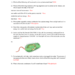 Biology Study Guide True Acetic Acid Has The Formula CH 3 COOH At