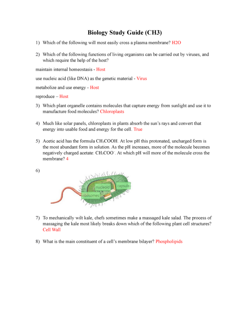 Biology Study Guide True Acetic Acid Has The Formula CH 3 COOH At 