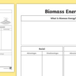 Biomass Energy Research Worksheet teacher Made