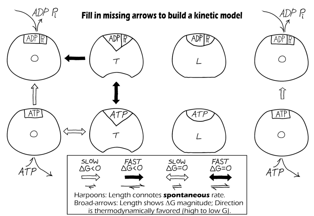 Biops pgh Cell Biology For Physical Scientists