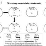 Biops pgh Cell Biology For Physical Scientists