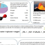 C12 C13 C14 Worksheet Bundle Teaching Resources