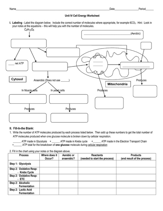 Cell Energy Worksheet 10 Functional Chapter 9 Energy In A Cell 