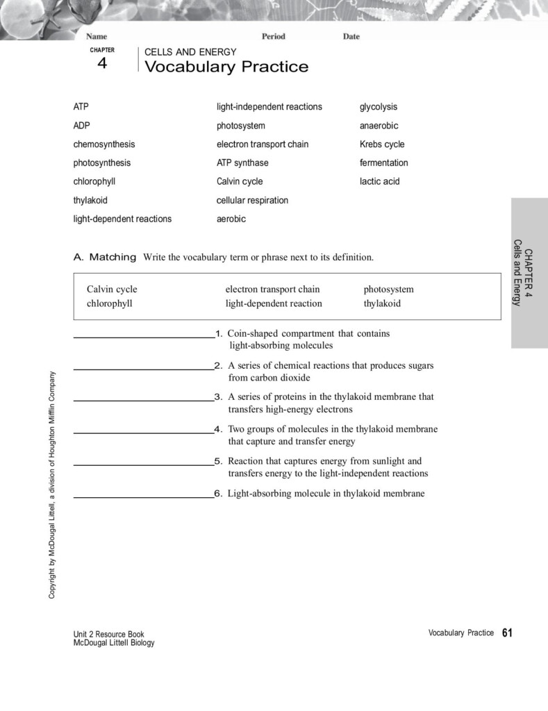 Chapter 4 Cells And Energy Vocabulary Practice Worksheet Answer Key 