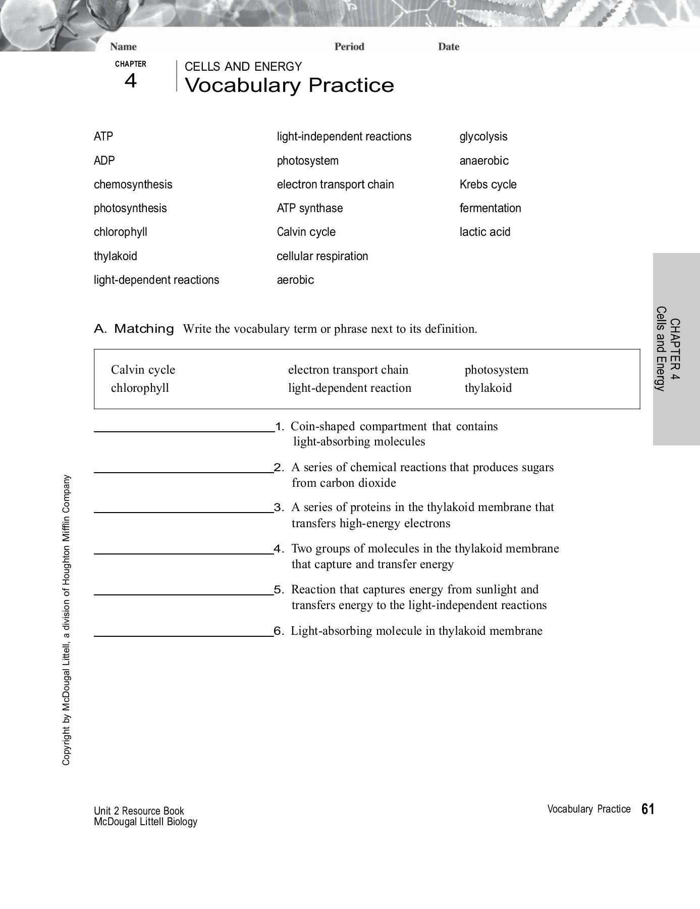 Chapter 4 Cells And Energy Vocabulary Practice Worksheet Answer Key 