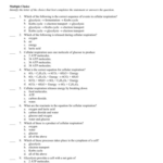 Chapter 9 Energy In A Cell Worksheet Answer Key Db excel