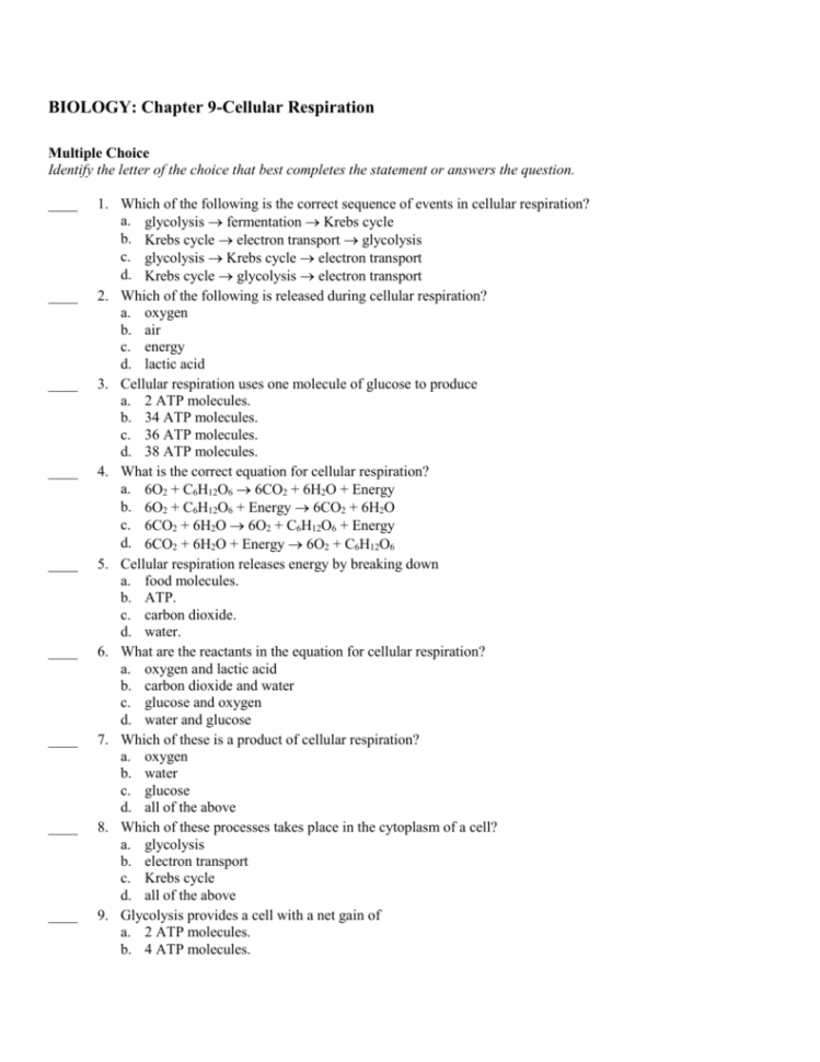 Chapter 9 Energy In A Cell Worksheet Answer Key Db excel