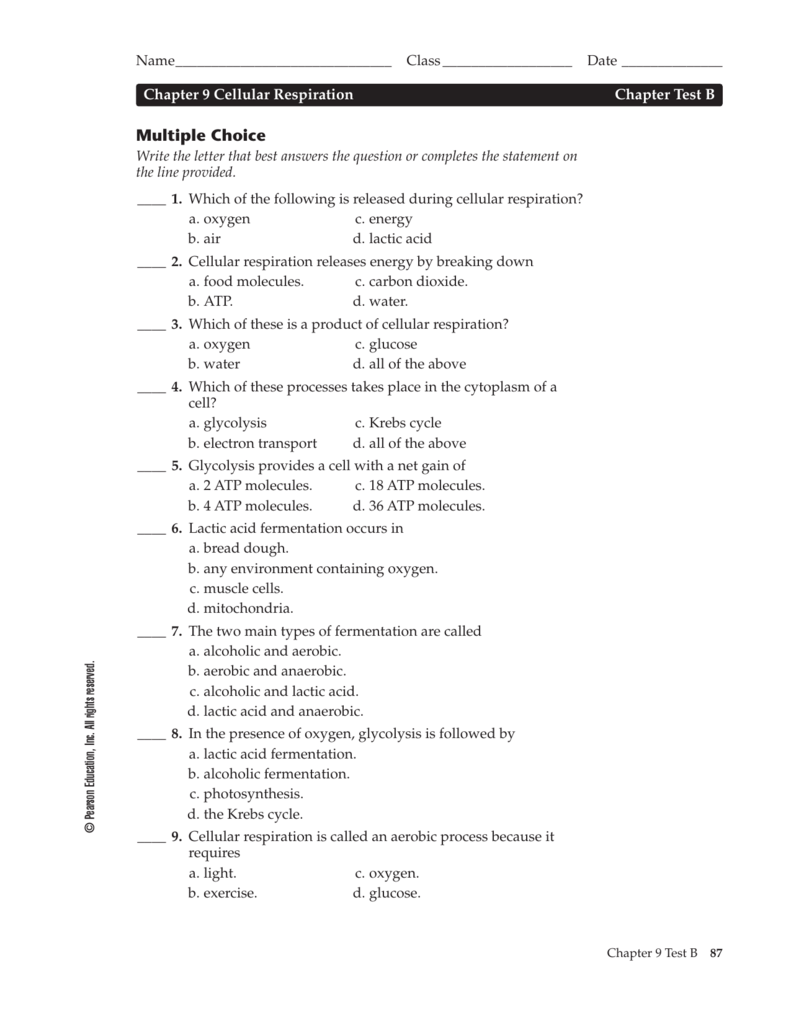 Chapter 9 Energy In A Cell Worksheet Answers Ivuyteq