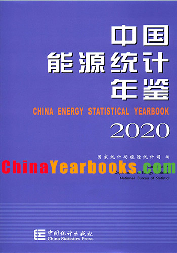 China Energy Statistical Yearbook 2020 China YearBooks