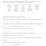 Cloze Worksheet Energy Answer Key Flow Of Energy Cloze Reading By