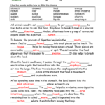 Cloze Worksheet Energy Answer Key Flow Of Energy Cloze Reading By