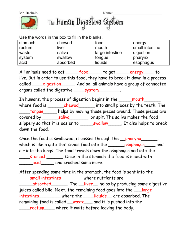 Cloze Worksheet Energy Answer Key Flow Of Energy Cloze Reading By 